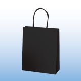 Хартиена чанта S1-176, J-cut 0